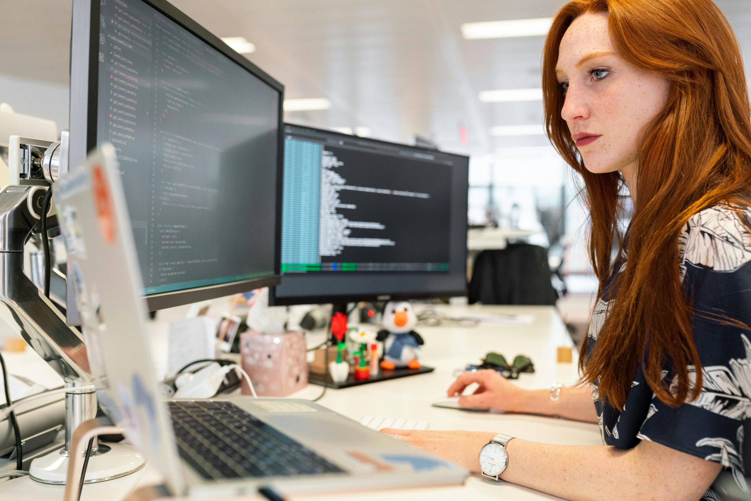 .net development